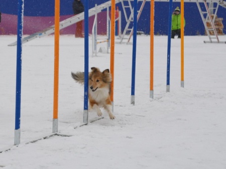 ������������ �� �������� �����������