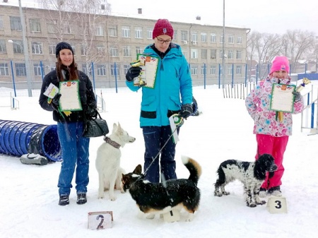 ��������� ������������ �� ��������