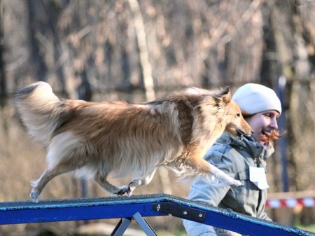 �������� ����� ��������� ������� �� ��������