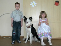 ������� ����������� ����������������