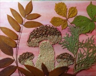 ���������� ����������� � ��������������