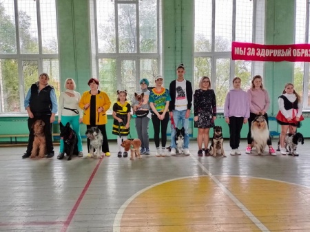 ������������ ������ � ��������