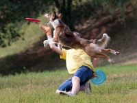 ������� ���� ��������� ����� �������