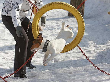 ������ �������������� ������