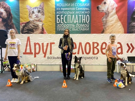 �������� ����� �������� 2022�