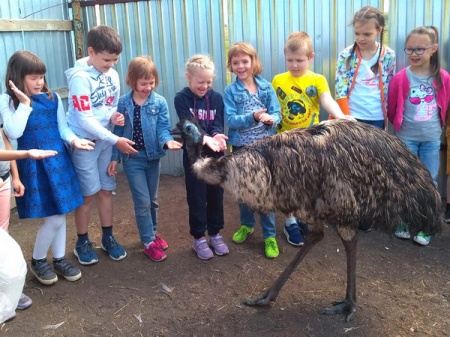 ���������� �����