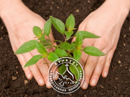 I ������������� ������� ������ �����������