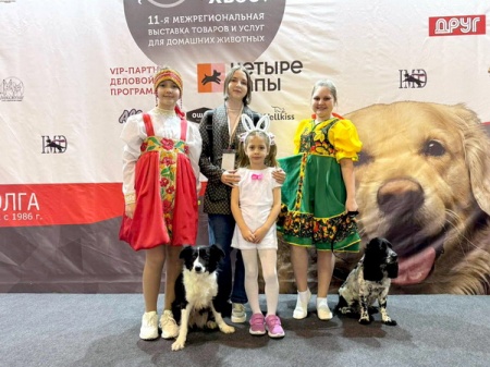 XI ��������������� �������� ����. ����. �����