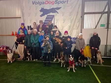 ��������� � ���������� �� ��������