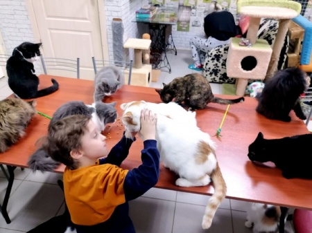 �������� ���� �������