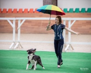 ������� ����������� ������ � ��������