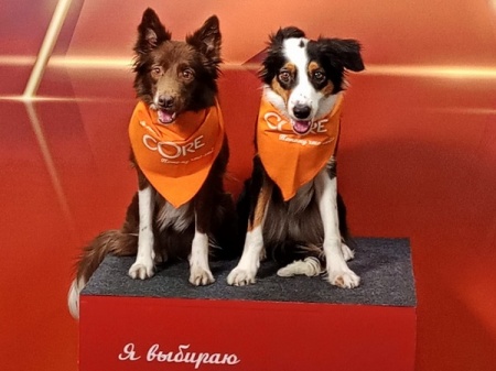 X ��������������� �������� ����.����.�����