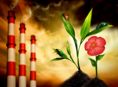 X ��������� ����������� �� ������-������������ ����������