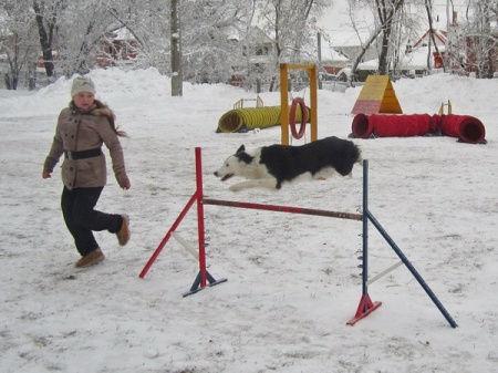 ������ �������� ���������� ������