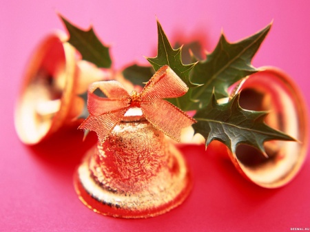 ������� �������� ������ ����