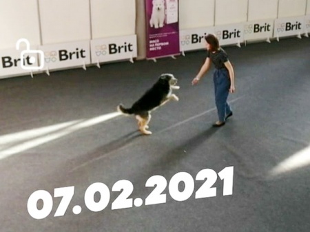 ��������� ��� ����