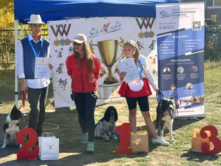 ���������� ������ �� ��������������� ���������