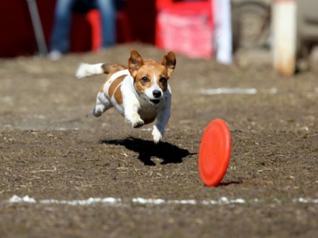 ������������ �� ���-������ � ����&���